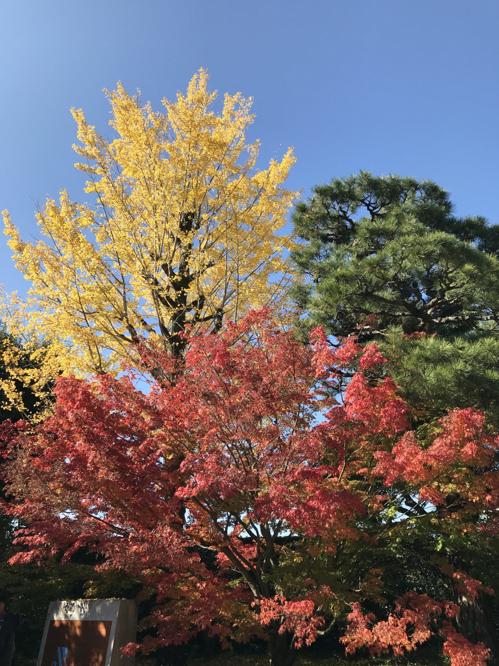 今年やり残した事
