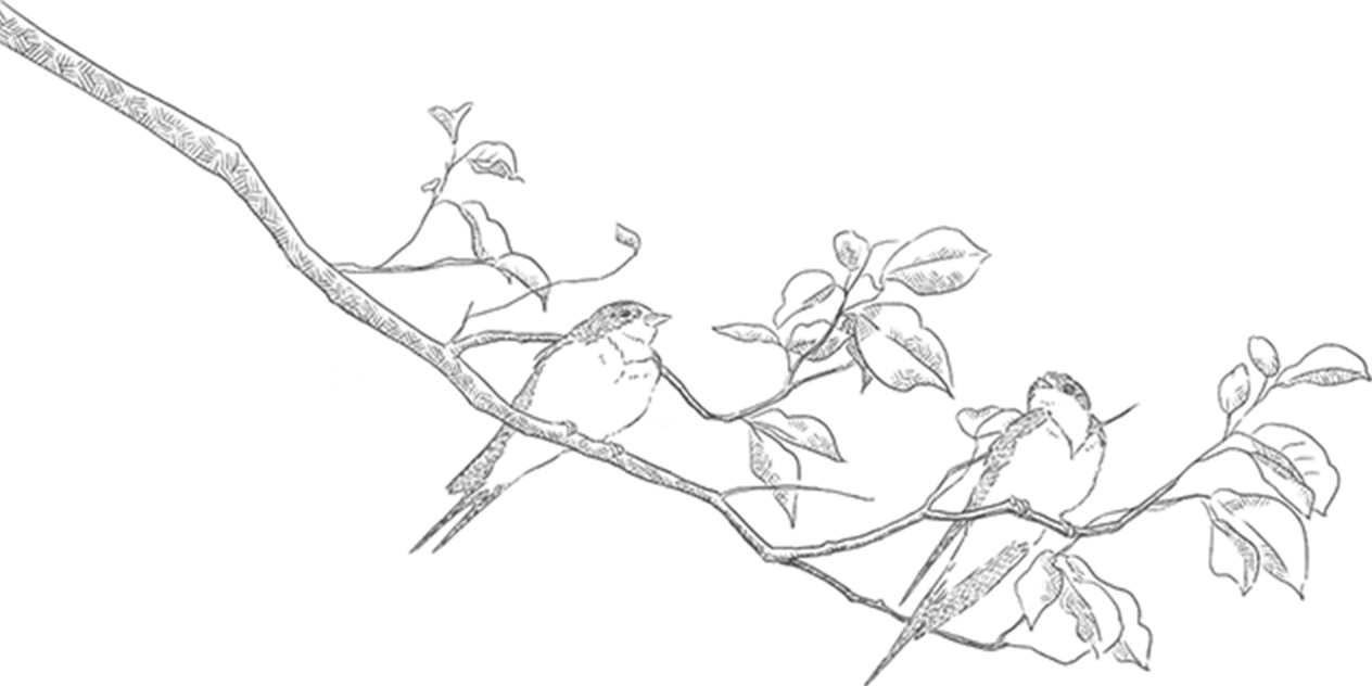 枝
